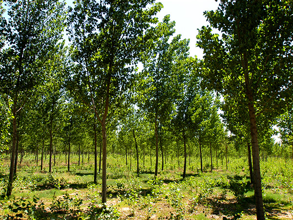 ������mg����ͻ��԰�ֹ������޹�˾