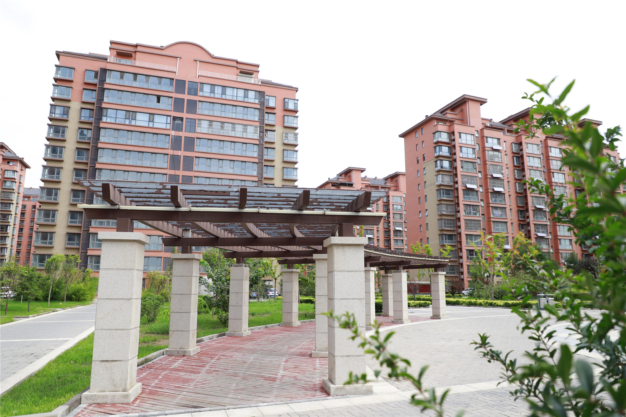 ��ƽ����׸�